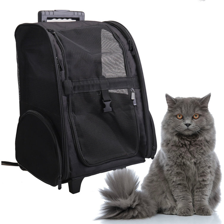 Rolling pet outlet carrier